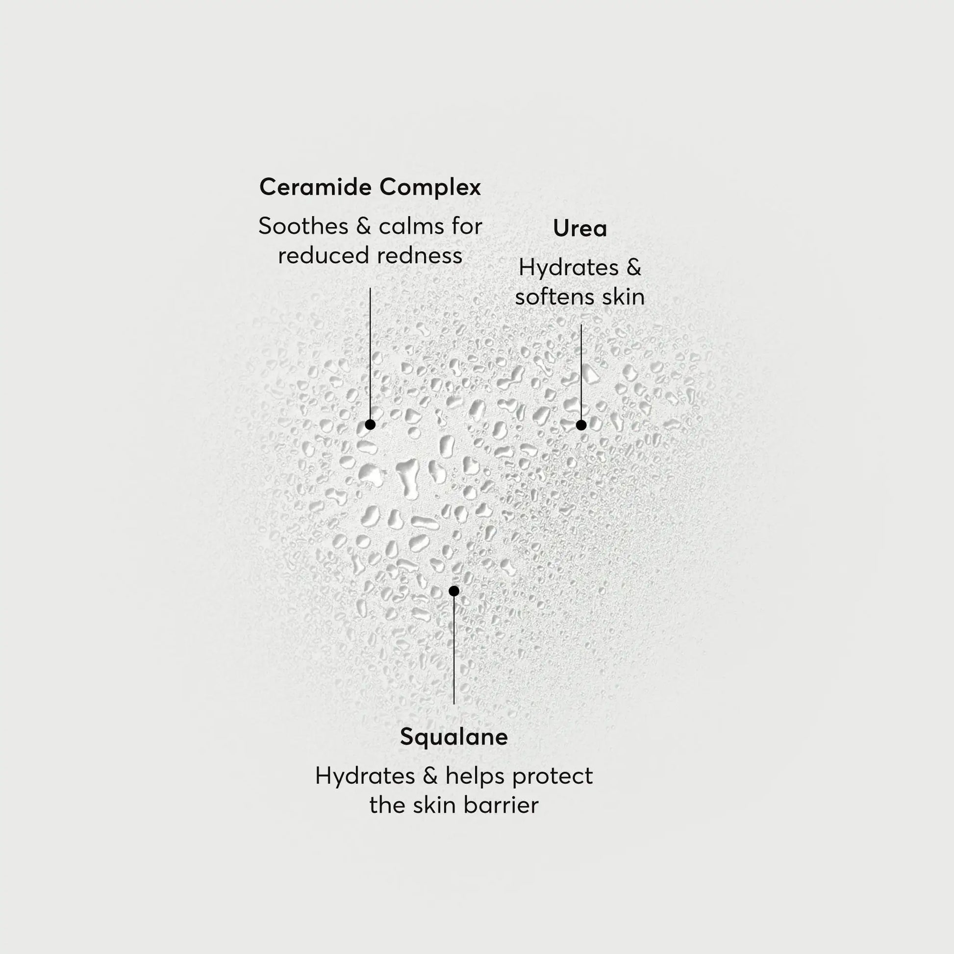 barrier-bounce-bi-phase-mist-i9 NATR-10167-Alt-Images-Barrier-Bounce-Bi-Phase-Toner-Mist_01.webp