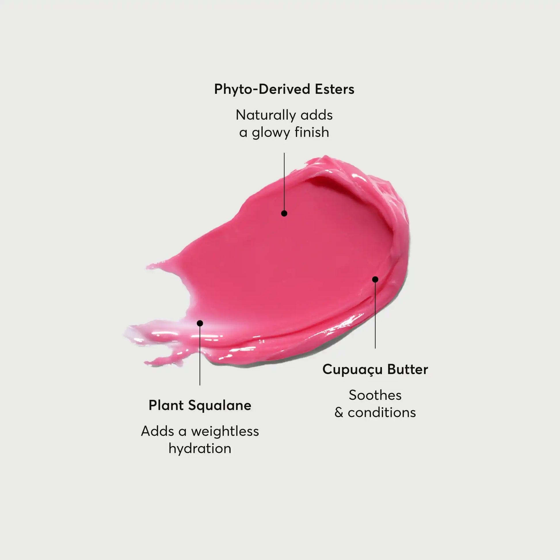 phyto-glow-lip-balm-camellia-y2 NATR-60075-Alt-Images-Phyto-Glow-Lip-Balm-Camellia-01.webp